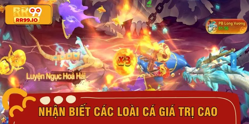 Nắm rõ các loài cá xuất hiện và điểm thưởng chi tiết