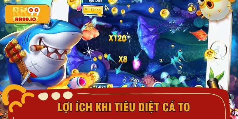 Cá lớn sở hữu hệ số điểm thưởng hấp dẫn