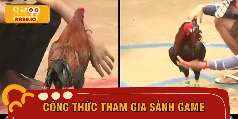 Toàn bộ công thức tham gia sảnh game