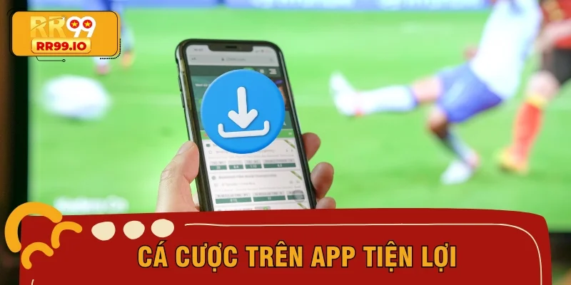 Cá cược trên app tiện lợi
